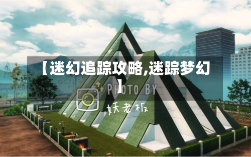 【迷幻追踪攻略,迷踪梦幻】-第3张图片