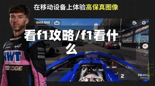 看f1攻略/f1看什么
