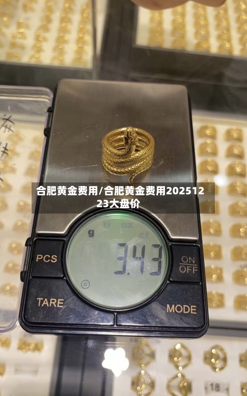 合肥黄金费用/合肥黄金费用20251223大盘价