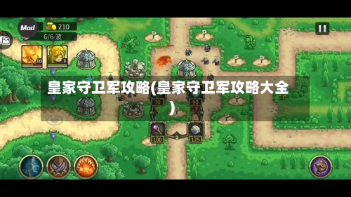 皇家守卫军攻略(皇家守卫军攻略大全)-第2张图片