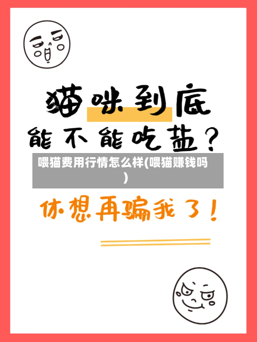 喂猫费用行情怎么样(喂猫赚钱吗)