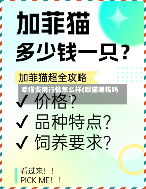喂猫费用行情怎么样(喂猫赚钱吗)-第2张图片