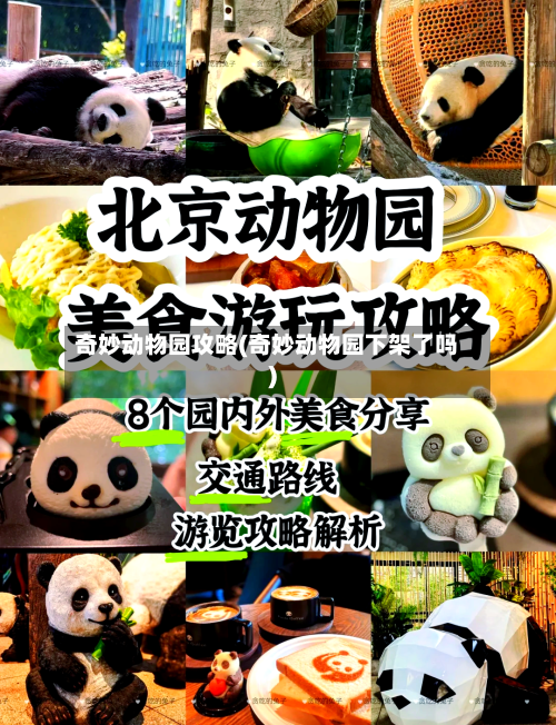 奇妙动物园攻略(奇妙动物园下架了吗)