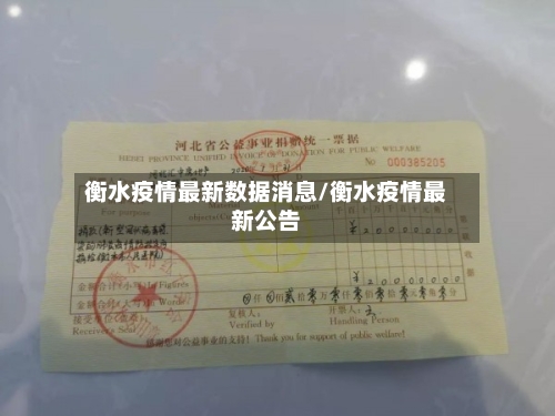 衡水疫情最新数据消息/衡水疫情最新公告-第3张图片