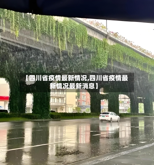 【四川省疫情最新情况,四川省疫情最新情况最新消息】-第2张图片