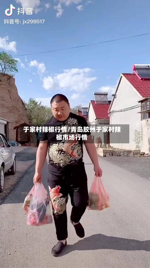 于家村辣椒行情/青岛胶州于家村辣椒市场行情-第2张图片