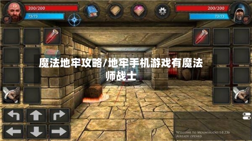 魔法地牢攻略/地牢手机游戏有魔法师战士-第2张图片
