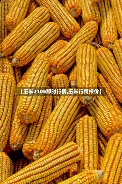 【玉米2105即时行情,玉米行情报价】