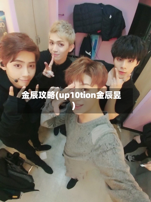 金辰攻略(up10tion金辰昱)