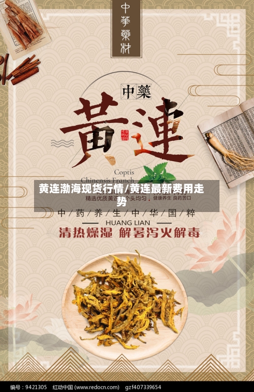 黄连渤海现货行情/黄连最新费用走势-第1张图片