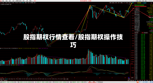 股指期权行情查看/股指期权操作技巧
