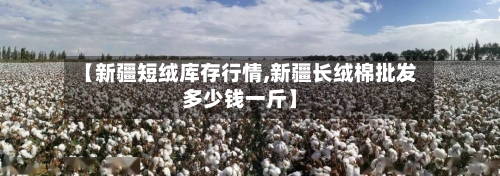 【新疆短绒库存行情,新疆长绒棉批发多少钱一斤】-第2张图片
