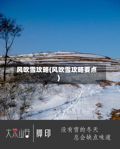 风吹雪攻略(风吹雪攻略要点)