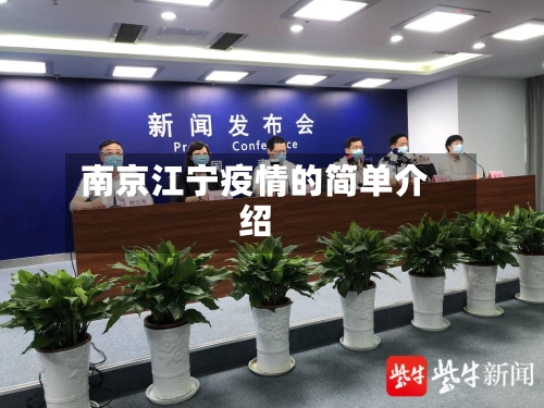 南京江宁疫情的简单介绍-第2张图片