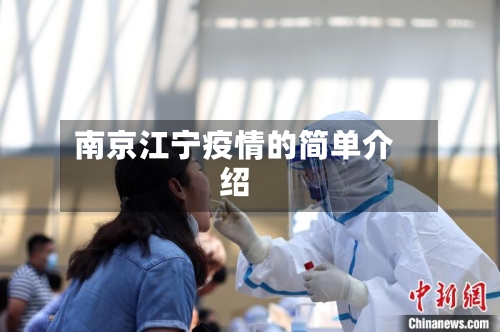 南京江宁疫情的简单介绍-第3张图片