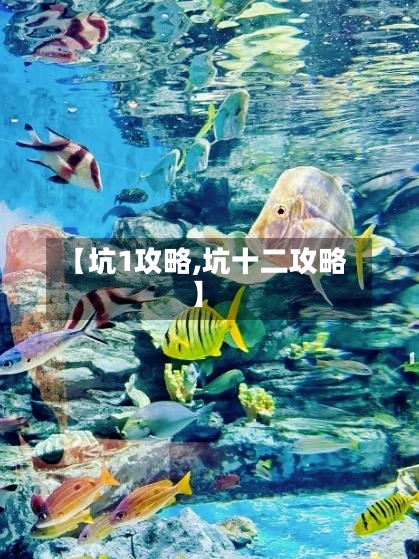 【坑1攻略,坑十二攻略】-第2张图片