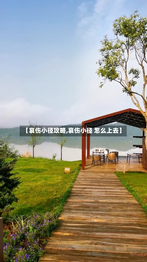 【哀伤小径攻略,哀伤小径 怎么上去】