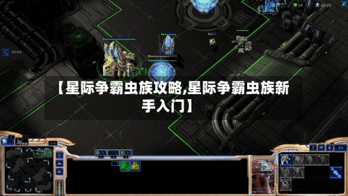 【星际争霸虫族攻略,星际争霸虫族新手入门】-第1张图片