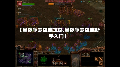 【星际争霸虫族攻略,星际争霸虫族新手入门】-第3张图片
