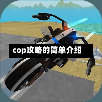 cop攻略的简单介绍-第1张图片