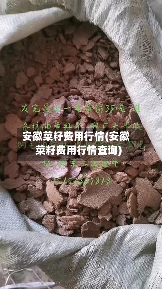 安徽菜籽费用行情(安徽菜籽费用行情查询)