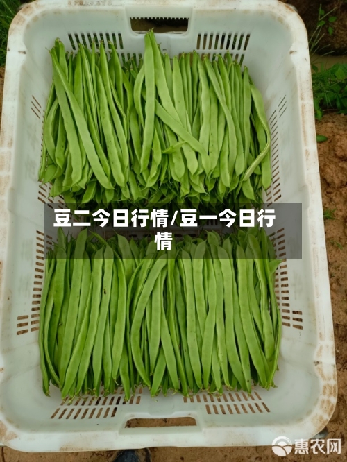 豆二今日行情/豆一今日行情-第2张图片