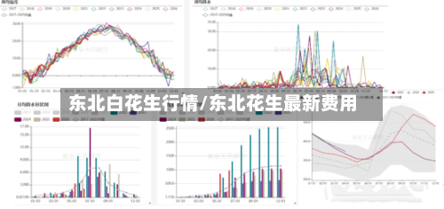 东北白花生行情/东北花生最新费用