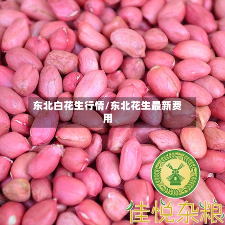 东北白花生行情/东北花生最新费用-第2张图片