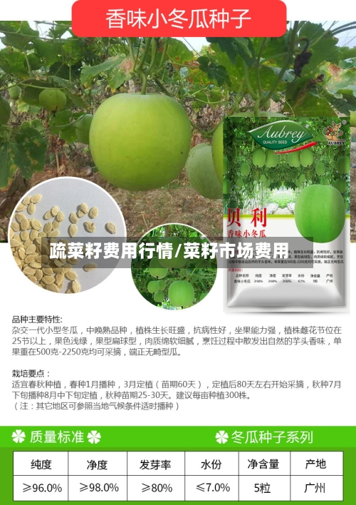 疏菜籽费用行情/菜籽市场费用-第2张图片