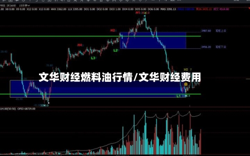文华财经燃料油行情/文华财经费用