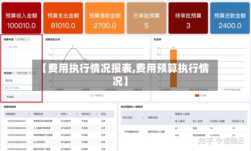 【费用执行情况报表,费用预算执行情况】