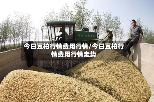 今日豆柏行情费用行情/今日豆柏行情费用行情走势