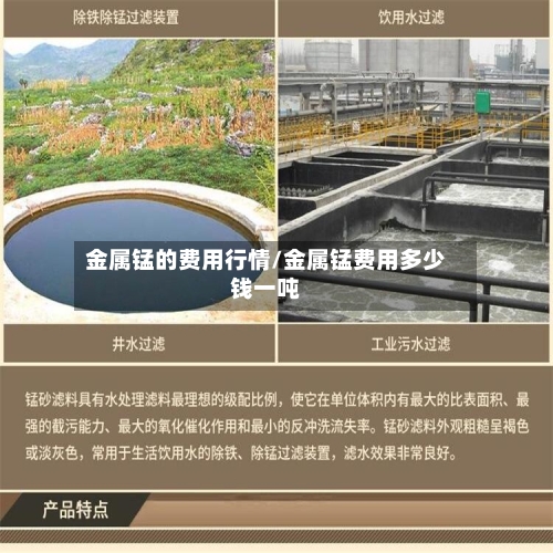 金属锰的费用行情/金属锰费用多少钱一吨-第2张图片