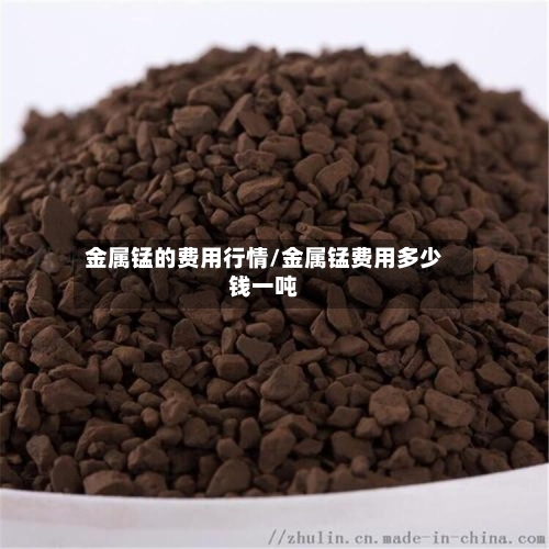 金属锰的费用行情/金属锰费用多少钱一吨