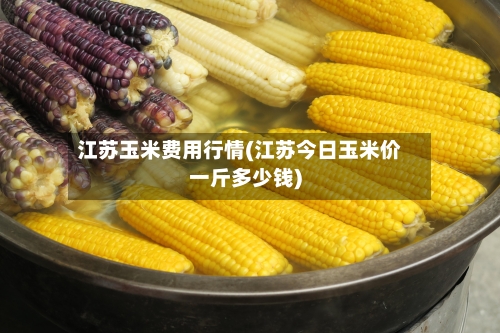 江苏玉米费用行情(江苏今日玉米价一斤多少钱)-第2张图片