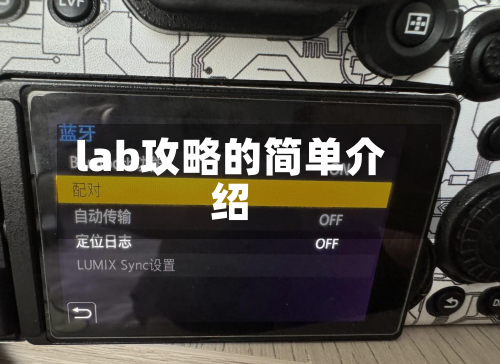 lab攻略的简单介绍-第2张图片