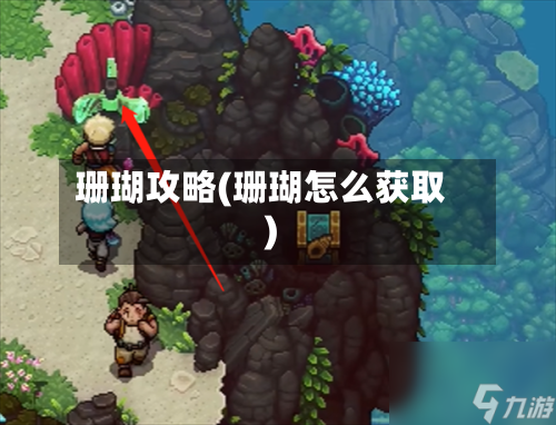 珊瑚攻略(珊瑚怎么获取)