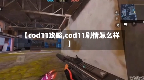 【cod11攻略,cod11剧情怎么样】-第2张图片