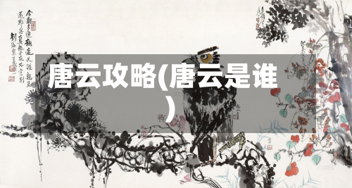 唐云攻略(唐云是谁)