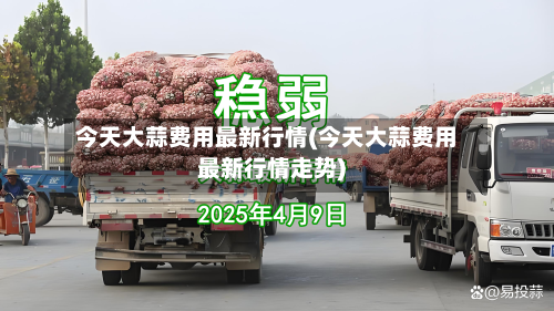 今天大蒜费用最新行情(今天大蒜费用最新行情走势)-第1张图片