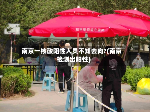 南京一核酸阳性人员不知去向?(南京检测出阳性)-第2张图片