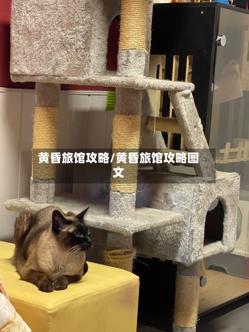 黄昏旅馆攻略/黄昏旅馆攻略图文-第3张图片