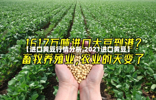 【进口黄豆行情分析,2021进口黄豆】-第2张图片