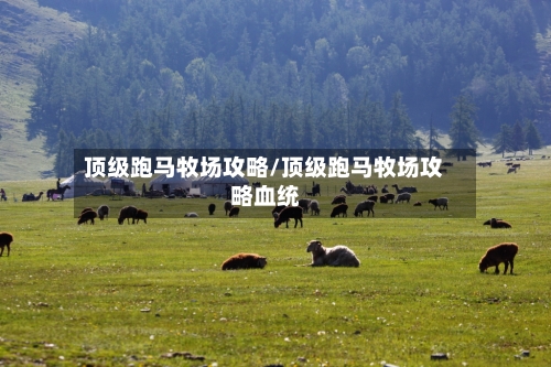 顶级跑马牧场攻略/顶级跑马牧场攻略血统-第2张图片