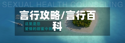 言行攻略/言行百科