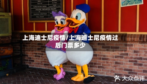 上海迪士尼疫情/上海迪士尼疫情过后门票多少-第2张图片