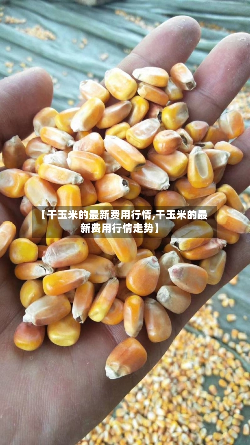 【干玉米的最新费用行情,干玉米的最新费用行情走势】-第1张图片