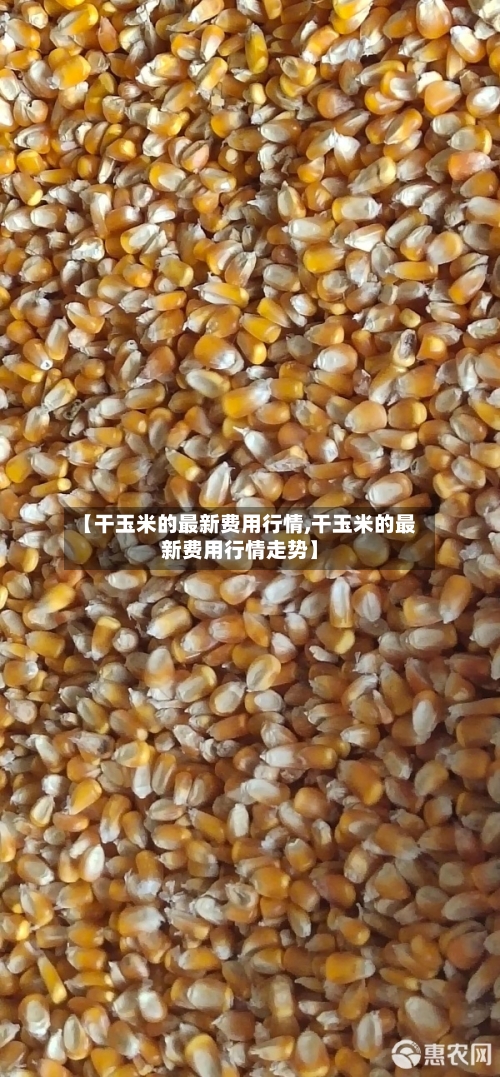 【干玉米的最新费用行情,干玉米的最新费用行情走势】-第2张图片
