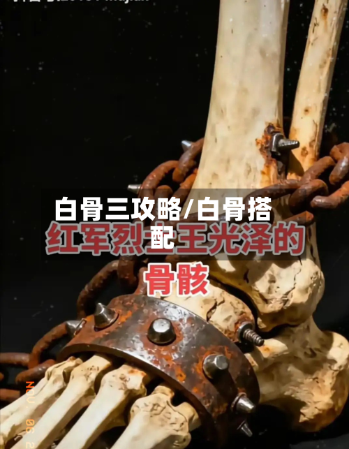 白骨三攻略/白骨搭配