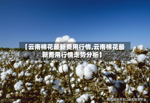 【云南棉花最新费用行情,云南棉花最新费用行情走势分析】